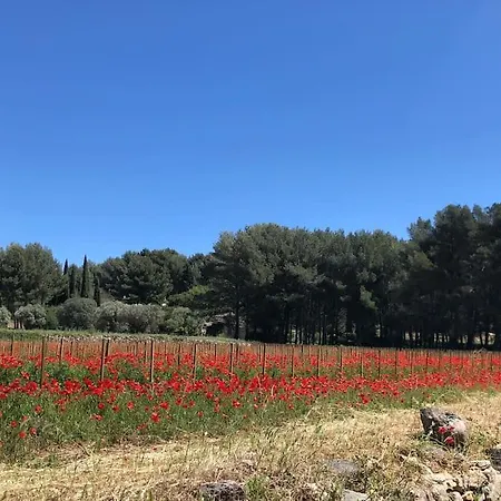 Βίλα Paradis Terrebrune Ollioules